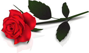 single-rose-clip-art-ytklp5qte