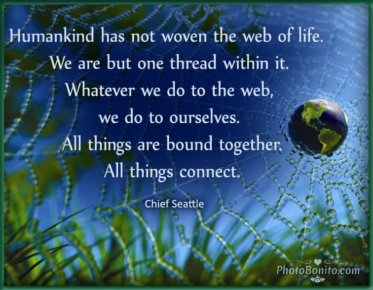 7b07f6736b49a881d8f3e5cc52d96e9a