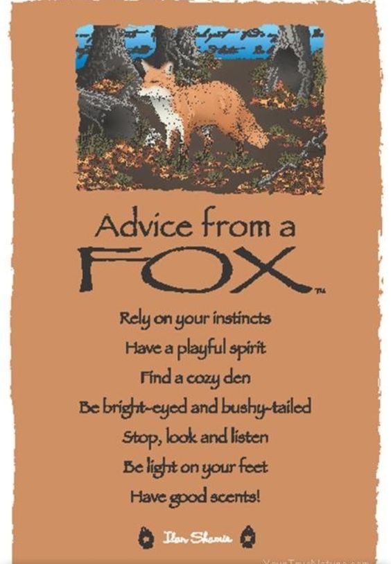 ce19805f76461e770858b5646d39561a