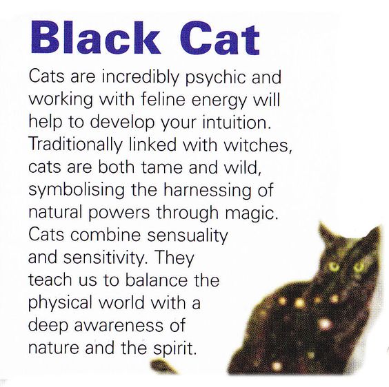 f493cd0f7e731d6d03934ab65dd08e65