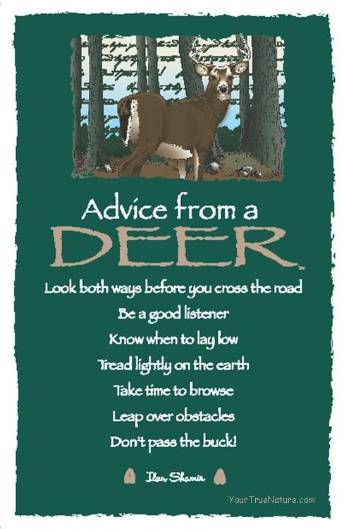 d1e042a6897e308169c3285648b79a75