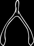 wishbone