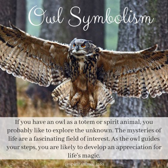 d18f2c2a1e12fa2e2486e667de995abc