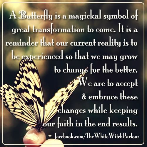 61d2116bce42cd158fcda33e6999a6cc