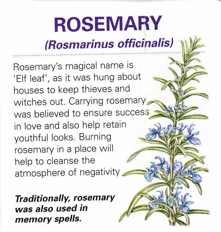 8b90f9ab48657e8b706960c96b41f4b1